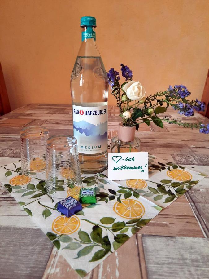 Ferienwohnung Zur Alten Post Lützen エクステリア 写真